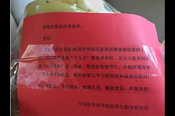 敬老爱老 我们在行动