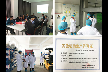 实验动物部取得实验动物生产许可证