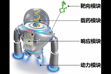 赵宇亮院士：“智能纳米机器用于重大疾病治疗的研究进展”