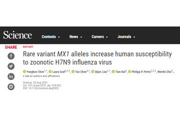 首次发现：MX1罕见变异增加人类对H7N9病毒易感性
