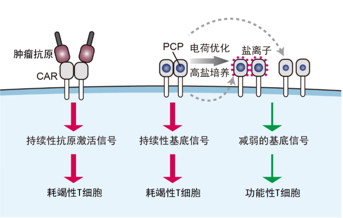 a7dfc5b1e0234271b3c1813110c8c464.png