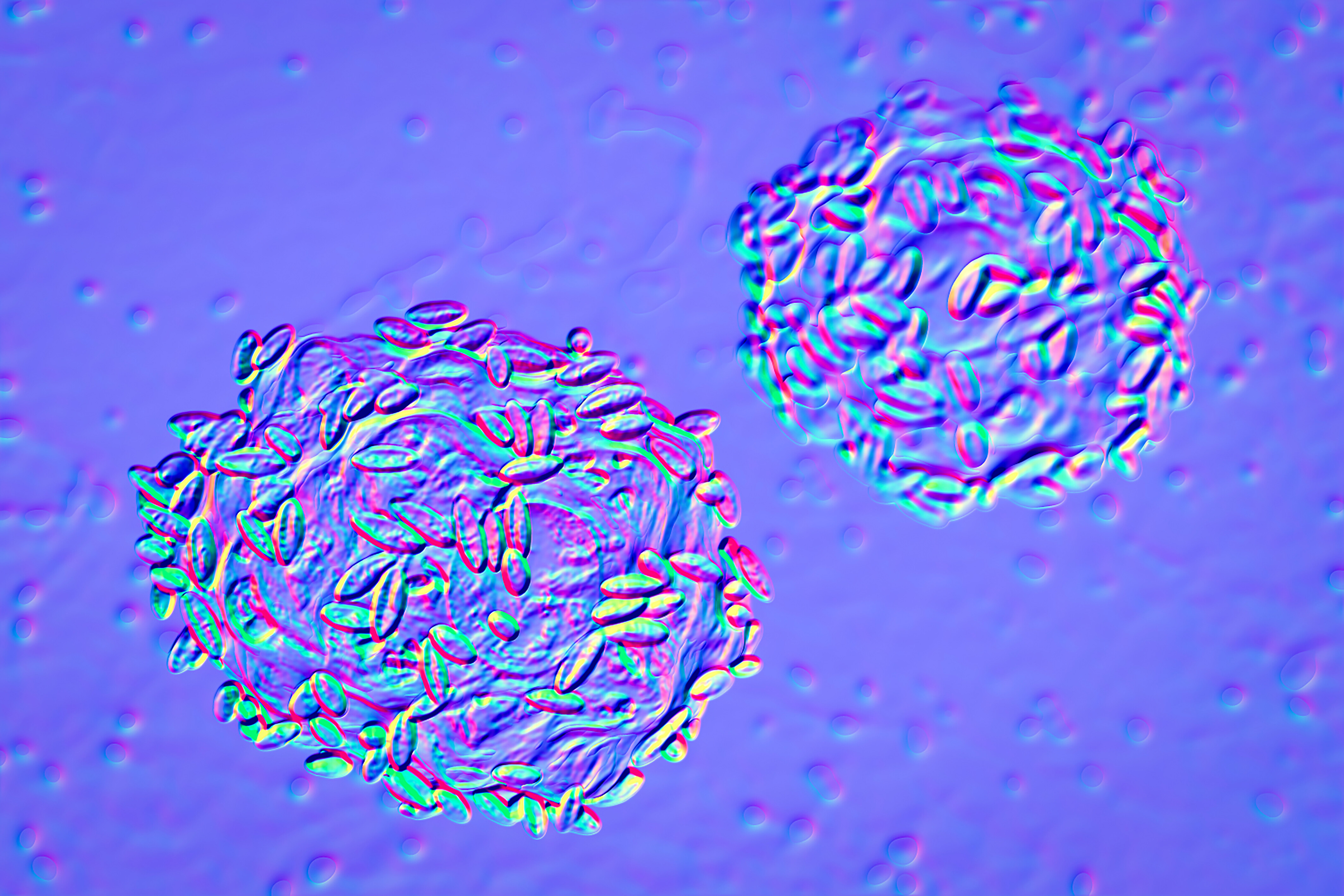 392460b816ff436591b240d66dc30f64.jpg