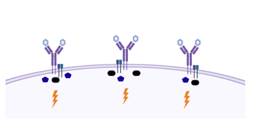 1e215c74d3584d14992419ac53745724.png
