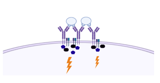 a2ef032d0f8b4efa89159d19f8d80b53.png
