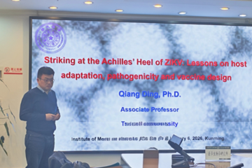 清华大学丁强副教授应邀至我所作学术讲座：聚焦ZIKV病毒研究前沿与疫苗设计新思路