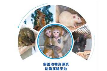 全国医学灵长类研究中心