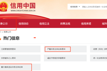 药品注册申报电子化信息管理系统项目（第二次）比选公告